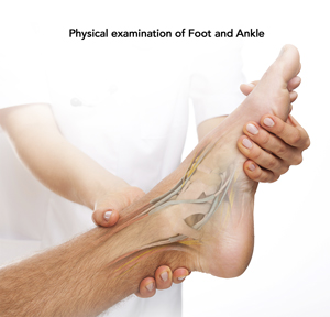Foot & Ankle Examination